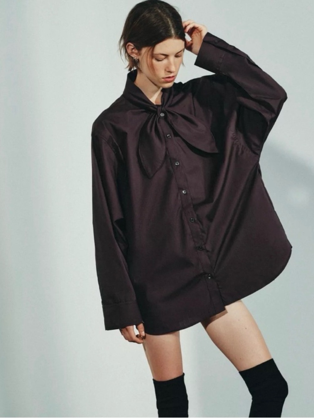 Zara Button-Up Shirt in Brown/Chocolate